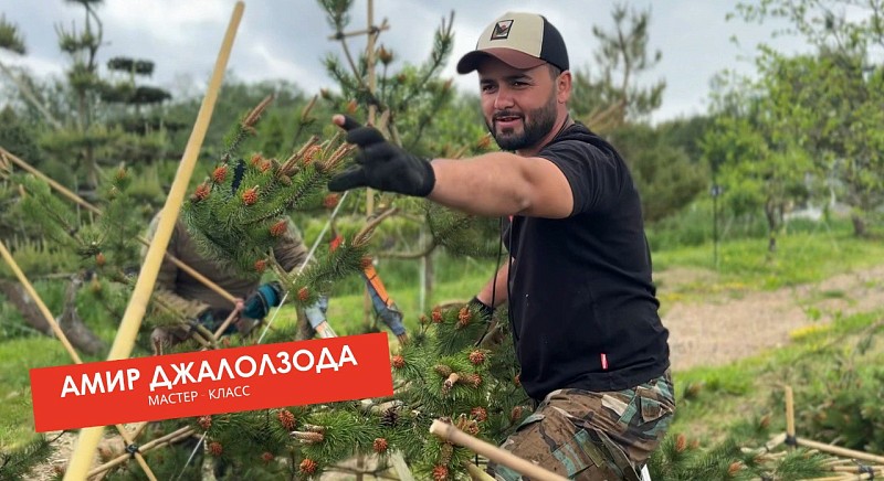 Мастер-класс Амир Джалолзода
