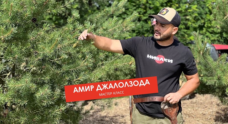 Мастер-класс Амира Джалолзоды в питомнике Ниваки