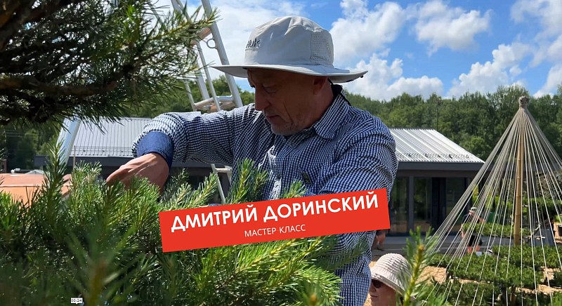 Мастер-класс Дмитрия Доринского в питомнике Ниваки